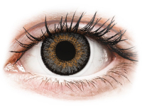 Barevné kontaktní čočky - FreshLook One Day Color Grey - nedioptrické