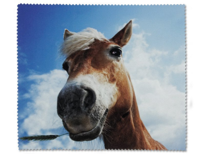 Čisticí hadřík na brýle - kůň 