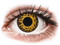 Barevné kontaktní čočky - CRAZY LENS - Cheetah - dioptrické jednodenní