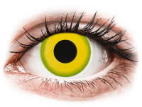 Barevné kontaktní čočky - CRAZY LENS - Forest Children - dioptrické jednodenní