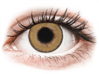 Barevné kontaktní čočky - TopVue Daily Color - Honey - dioptrické jednodenní